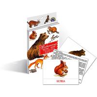 Дидактические карточки "Животные наших лесов"