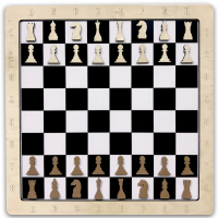 Настенные магнитные шахматы ЖУ-ЖУ