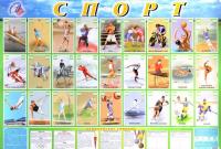 Обучающий плакат "Спорт"