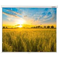 Экран настенный Lumien 160х160 см
